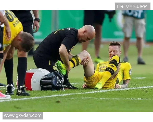 德国与法国足球对决前的伤停情况分析与影响探讨