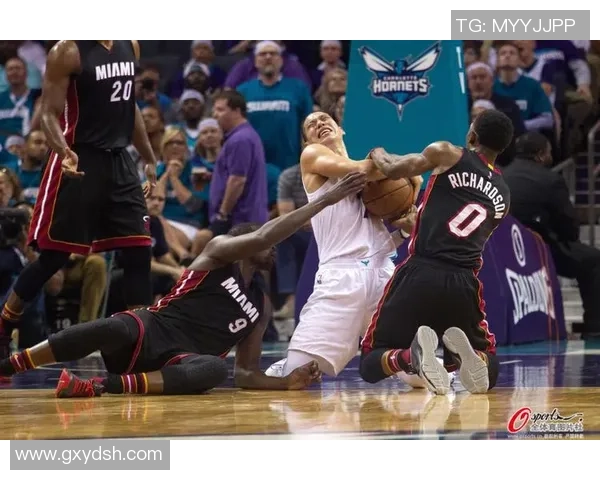 骑士与黄蜂对决精彩回顾CCTV电脑版直播全程分析与亮点解析