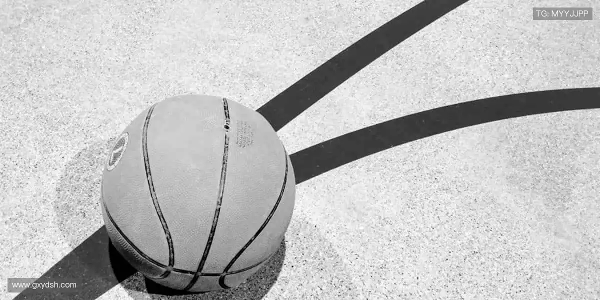 🎯精准数据，深度解析赛事背后的故事！